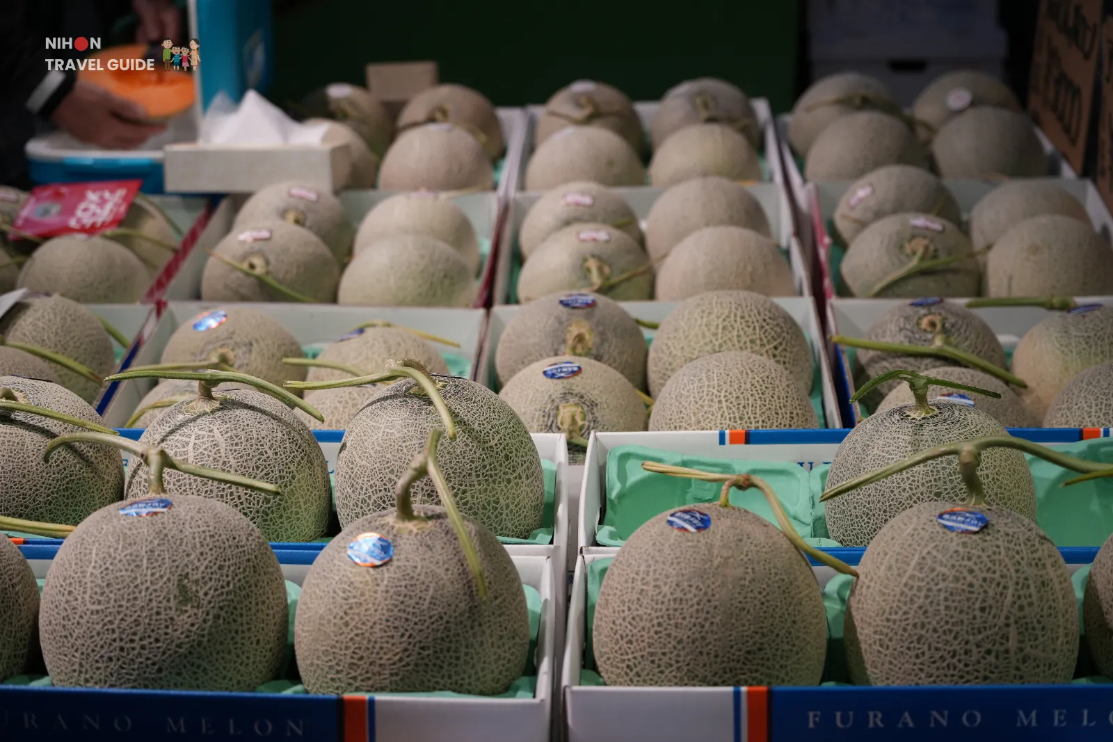 hakodate-morning-market-furano-melons-display Rows of Furano melons displayed in individual boxes at Hakodate Morning Market in Hokkaido.