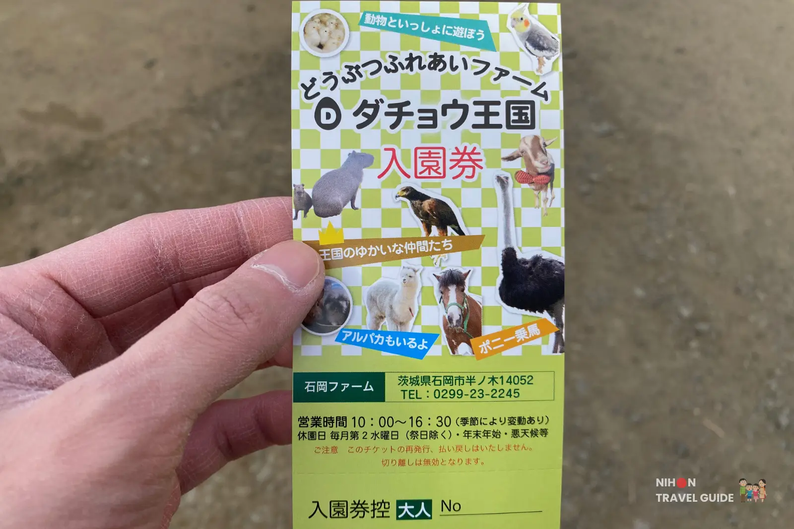 Hand holding Ishioka Ostrich Farm admission ticket showing animal photos and Japanese text in front of dirt path