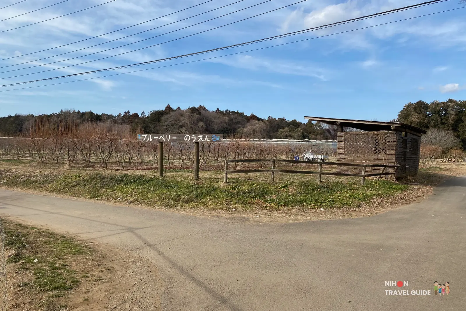 ishioka-ostrich-farm-blueberry-field-winter View of Ishioka Ostrich Farm blueberry fields in winter with bare bushes, small shelter and blue sky above a rural path.