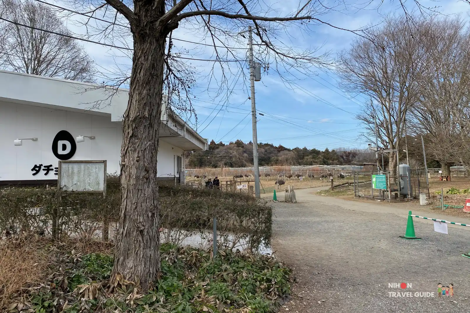 View from beside the main building at Ishioka Ostrich Farm looking down a gravel path toward ostrich enclosures and fields on a clear day.