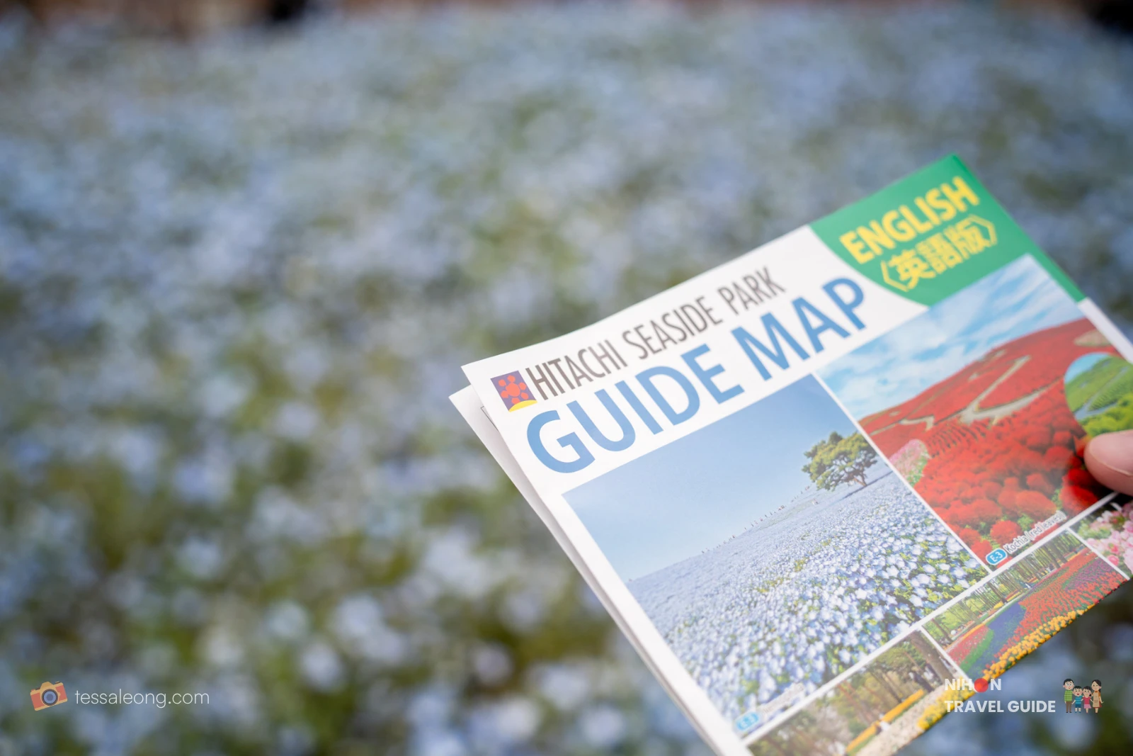 Hitachi Seaside Park official English Guide Map. The brochure shows beautiful photos of the Nemophila and Kochia seasons, perfect for visitors navigating the large park.