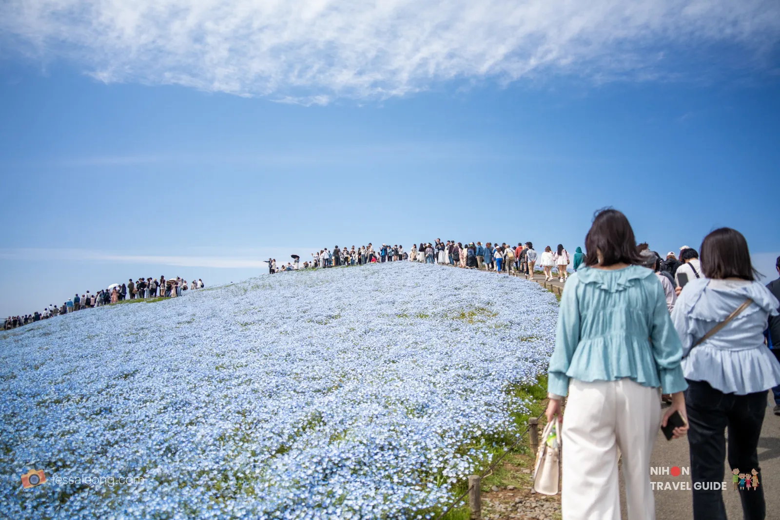 Visitors walking along the path overlooking the vast sea of blue Nemophila flowers on Miharashi Hill at Hitachi Seaside Park.