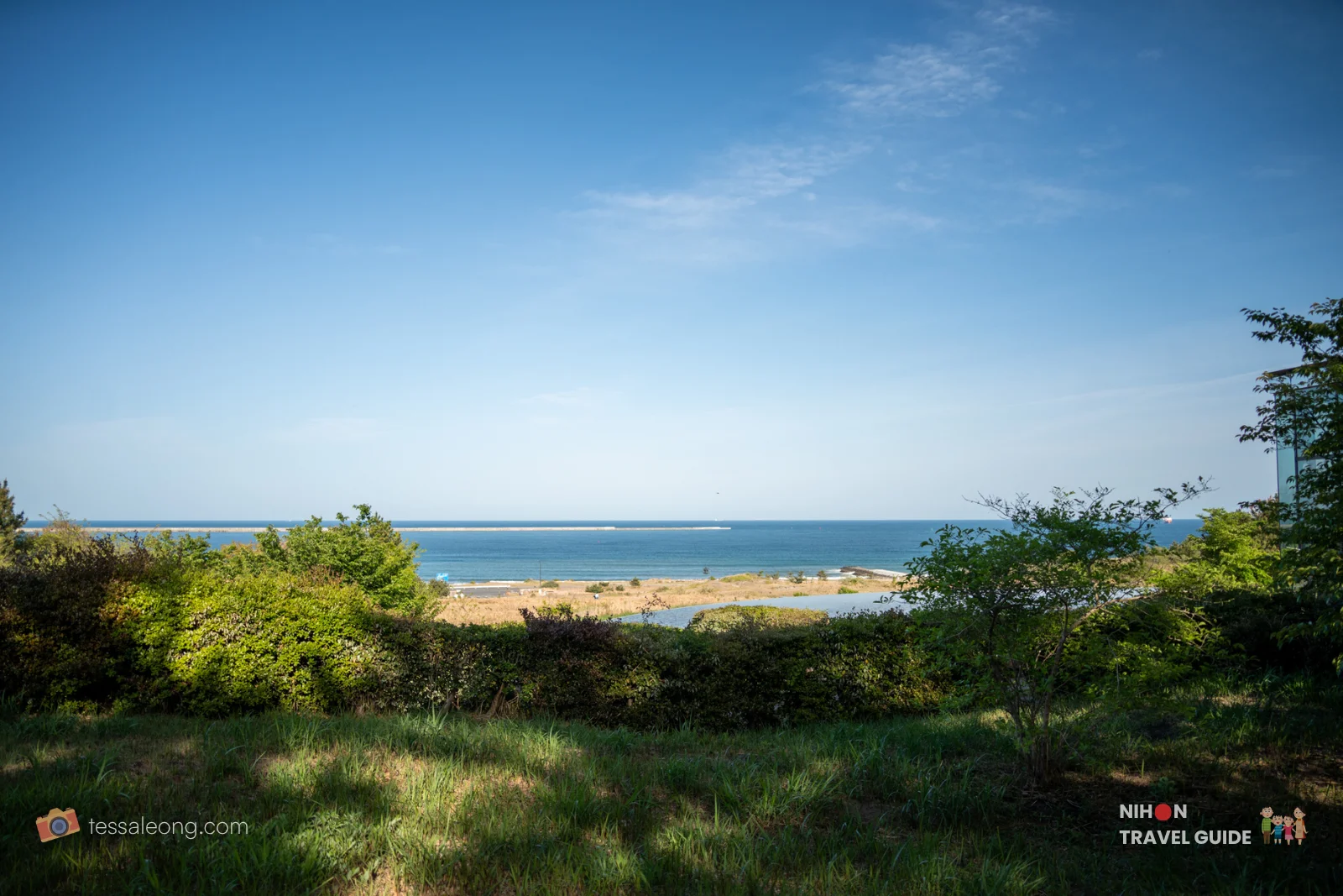 Beautiful panoramic view of the Pacific Ocean from the Sand Dunes (Sabaku Area) at Hitachi Seaside Park. This peaceful natural area offers great coastal scenery away from the main flower fields.