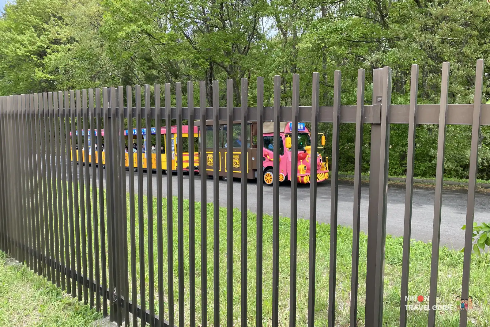 Colorful seaside tourist train at Hitachi Seaside Park, Japan. The pink and yellow train runs through the park carrying visitors.
