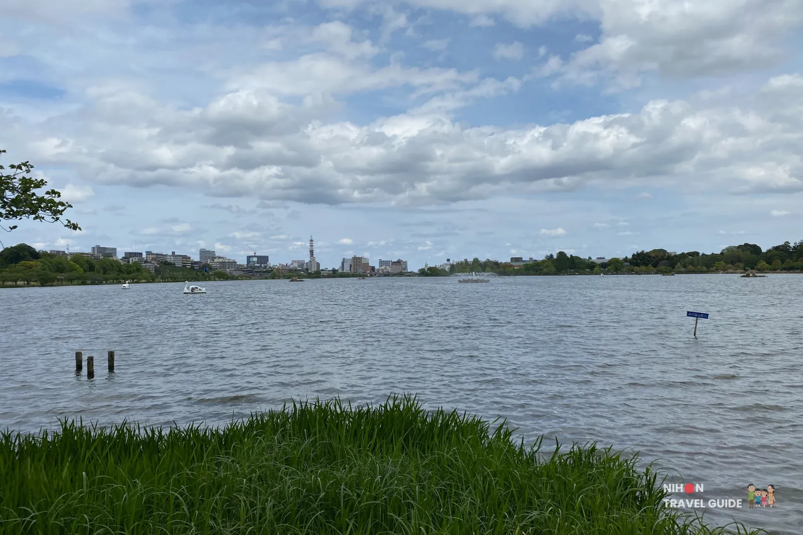 lake-senba-wide-view-mito-city-skyline Wide panoramic view of Lake Senba in Mito, showing the expansive lake with a swan pedal boat, fountain, Mito city skyline, and lush green reeds in the foreground.