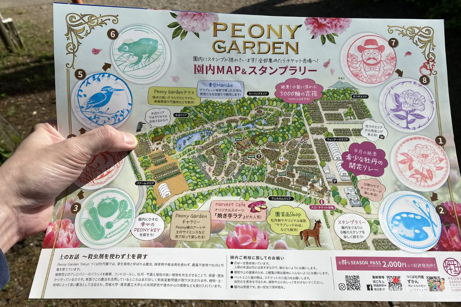 Hand holding the official Peony Garden Tokyo map with all 8 stamp rally stations successfully stamped (No.1 to No.8), showing the full garden layout including Vintage Area, Waterside Area, and Farm Area.