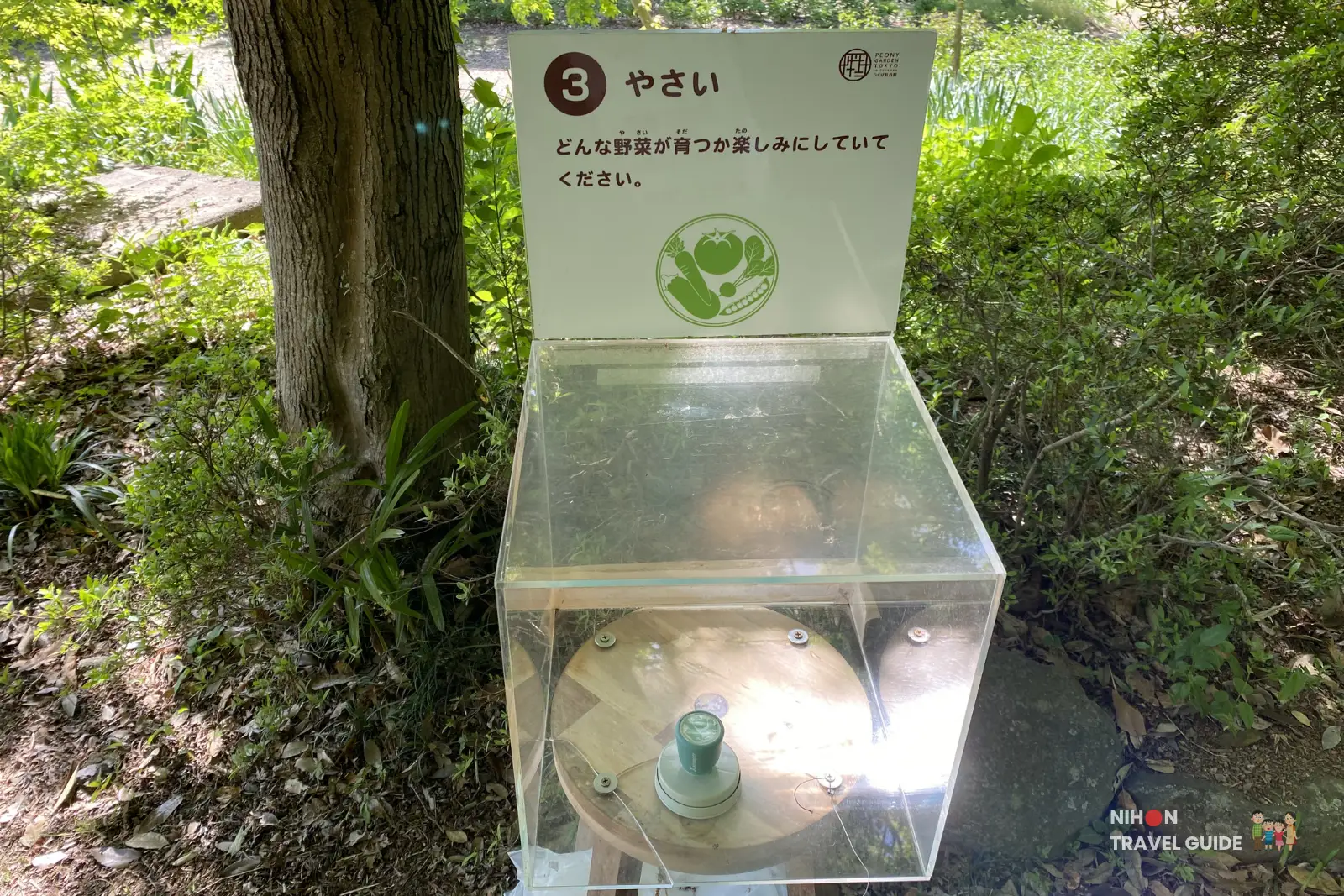 Stamp rally station No.3 "Yasai" (Vegetables) at Peony Garden Tokyo, showing a vegetable illustration next to a tree.