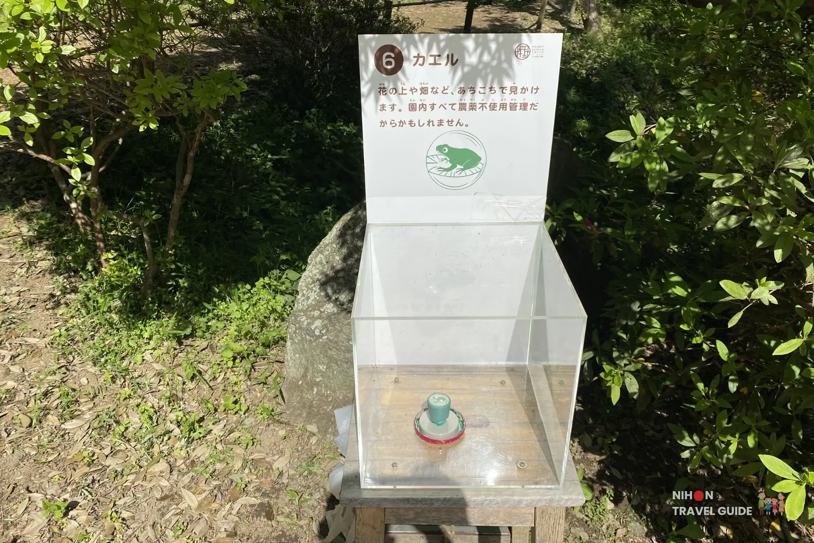 Stamp rally station No.6 "Kaeru" (Frog) at Peony Garden Tokyo, with a green frog illustration highlighting the pesticide-free environment.