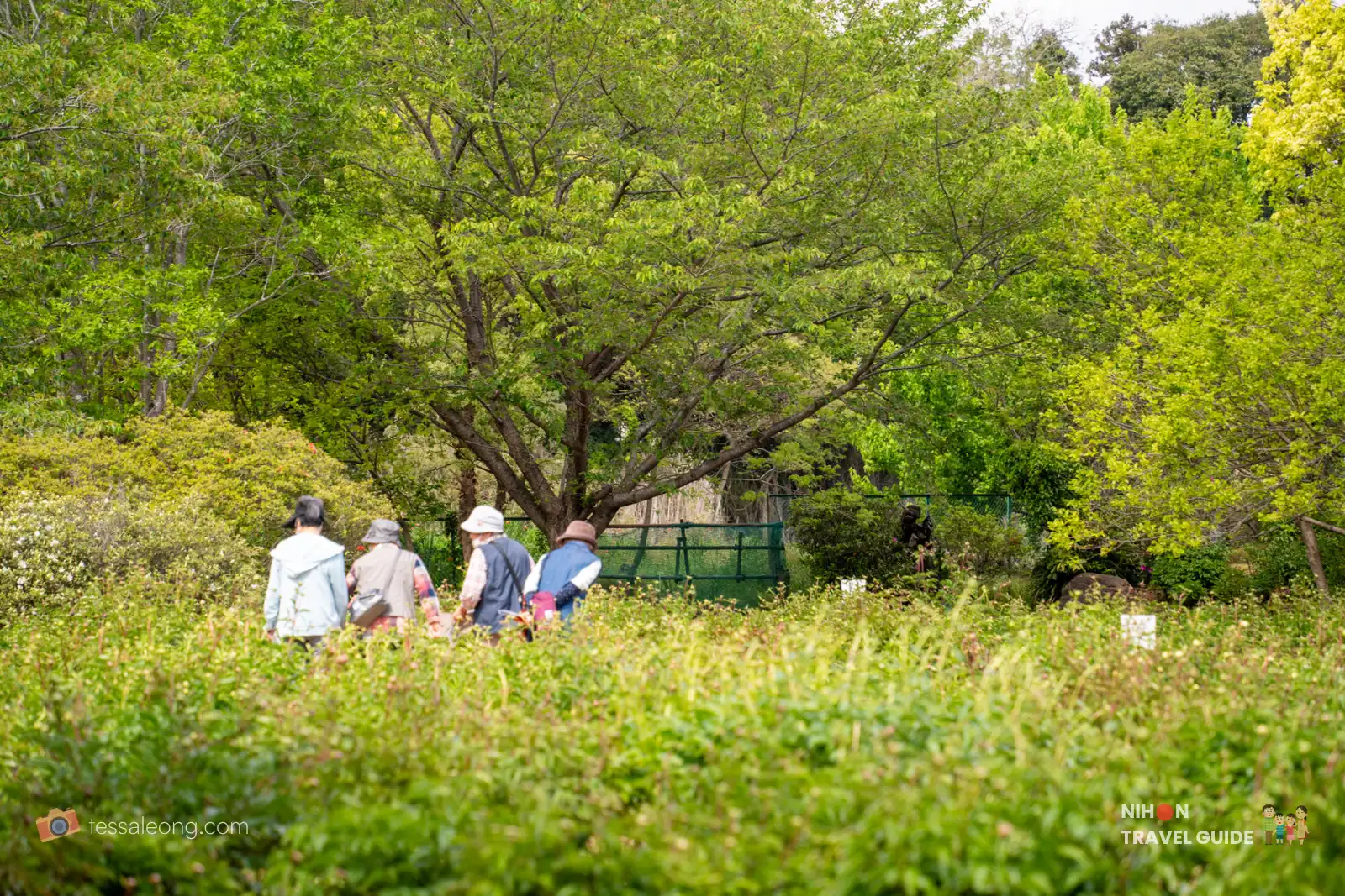 Group of people walking through a lush green park with trees and shrubs; a fence is visible in the background.