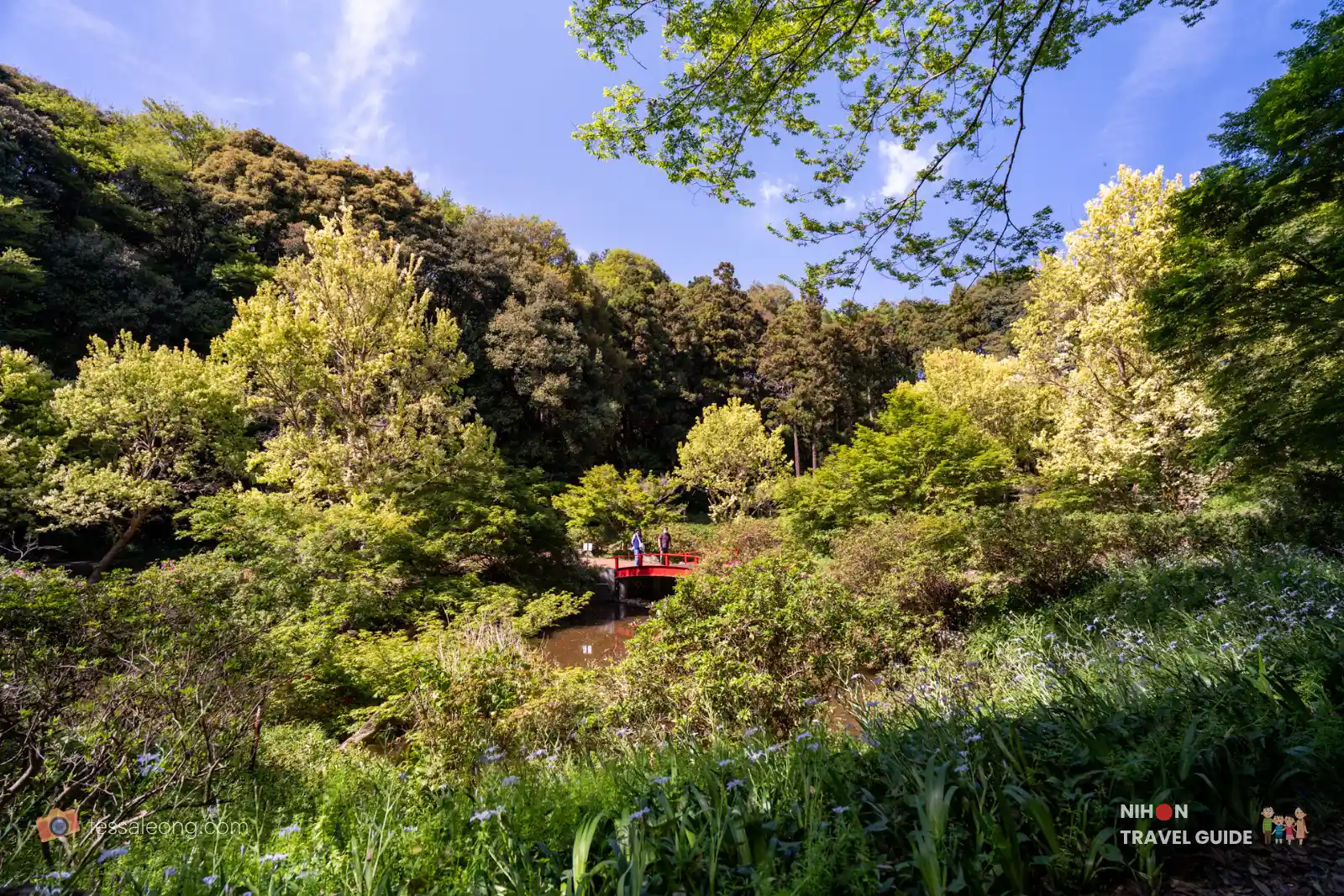 Beautiful wide scenic view of the Waterside (Mizube) Area at Peony Garden Tokyo. A red bridge crosses the pond surrounded by lush green trees, forested hills, and wildflowers under a bright blue sky.