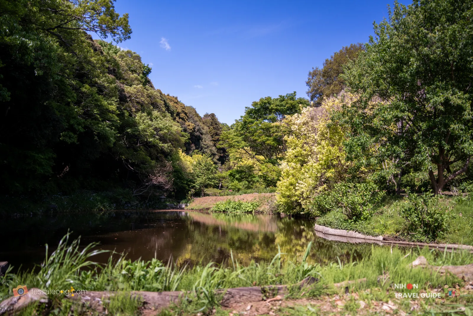 Beautiful wide view of the pond in the Waterside Area at Peony Garden Tokyo, featuring the red bridge in the distance, calm reflective water, and lush green forested hills under a bright blue sky.