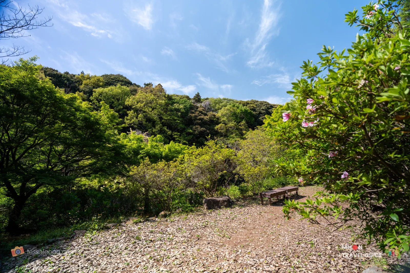 Sunny open clearing in the Waterside (Mizube) Area of Peony Garden Tokyo, with a wooden bench, lush green hills, and bright blue sky — a peaceful resting spot surrounded by spring greenery.