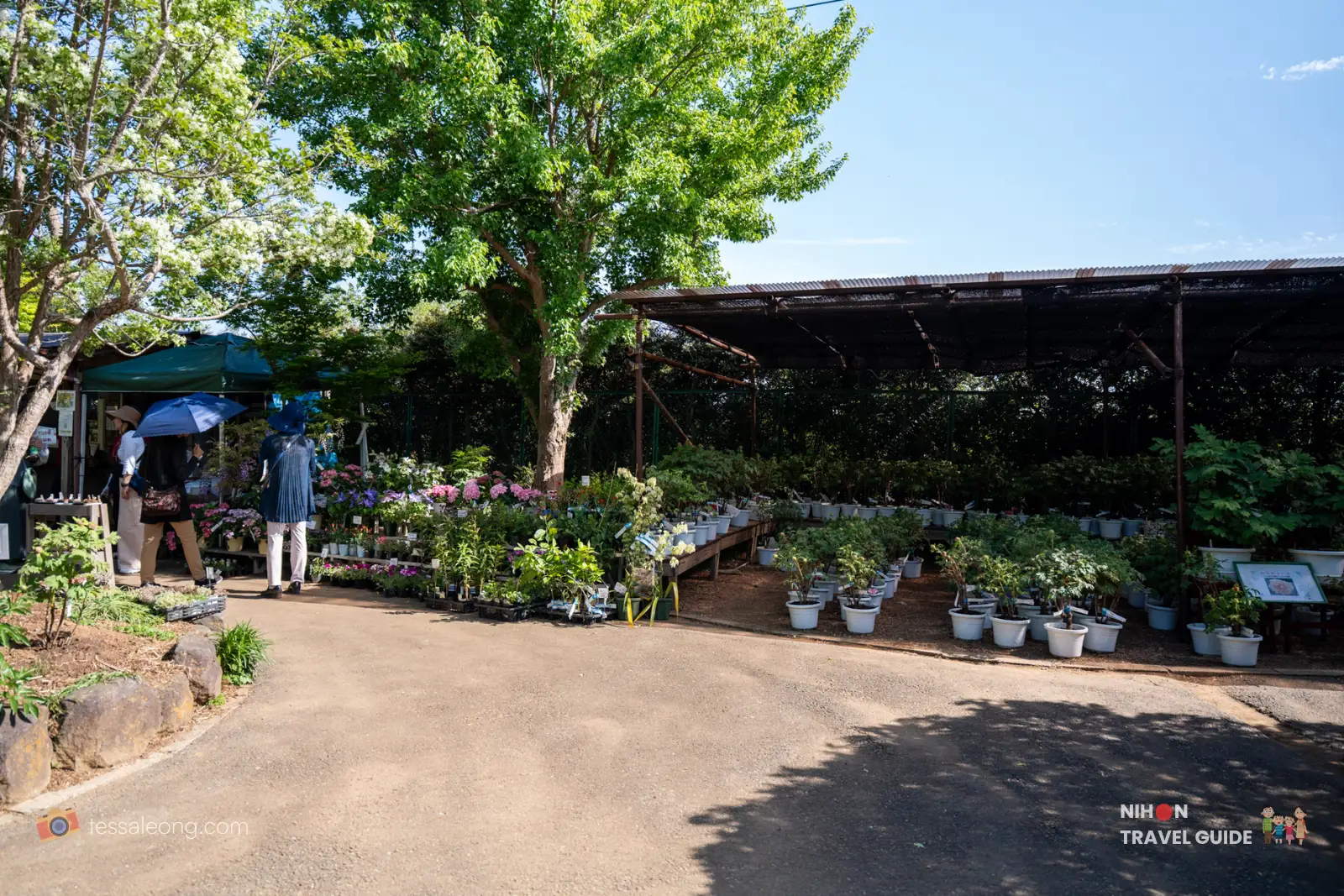 Vibrant outdoor plant sales area at Peony Garden Tokyo, filled with colorful potted flowers, hydrangeas, and greenery under a large shelter on a sunny day, with visitors browsing.