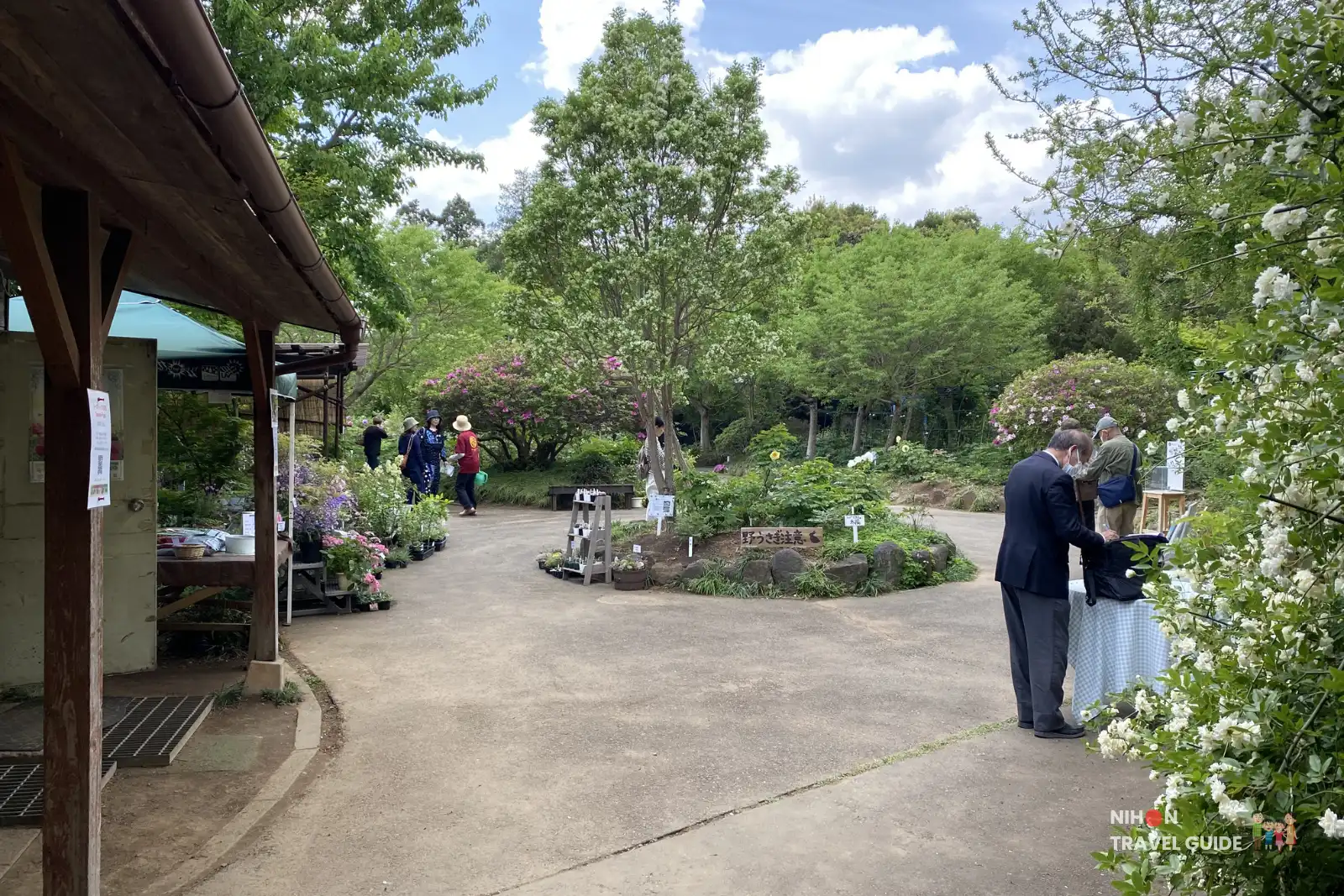 Sunny garden path at Peony Garden Tokyo with potted plants for sale, visitors walking around, and beautiful white flowering bushes on the right, under a bright blue sky with lush green trees.