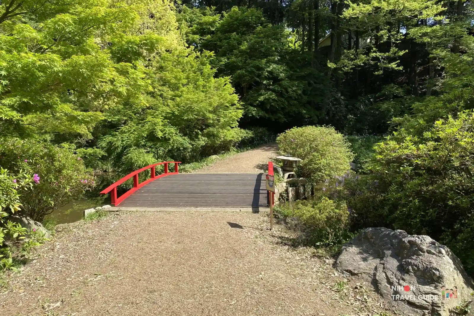 Red wooden bridge crossing the pond in the Waterside Area of Peony Garden Tokyo, surrounded by vibrant green trees and bushes under bright sunlight.