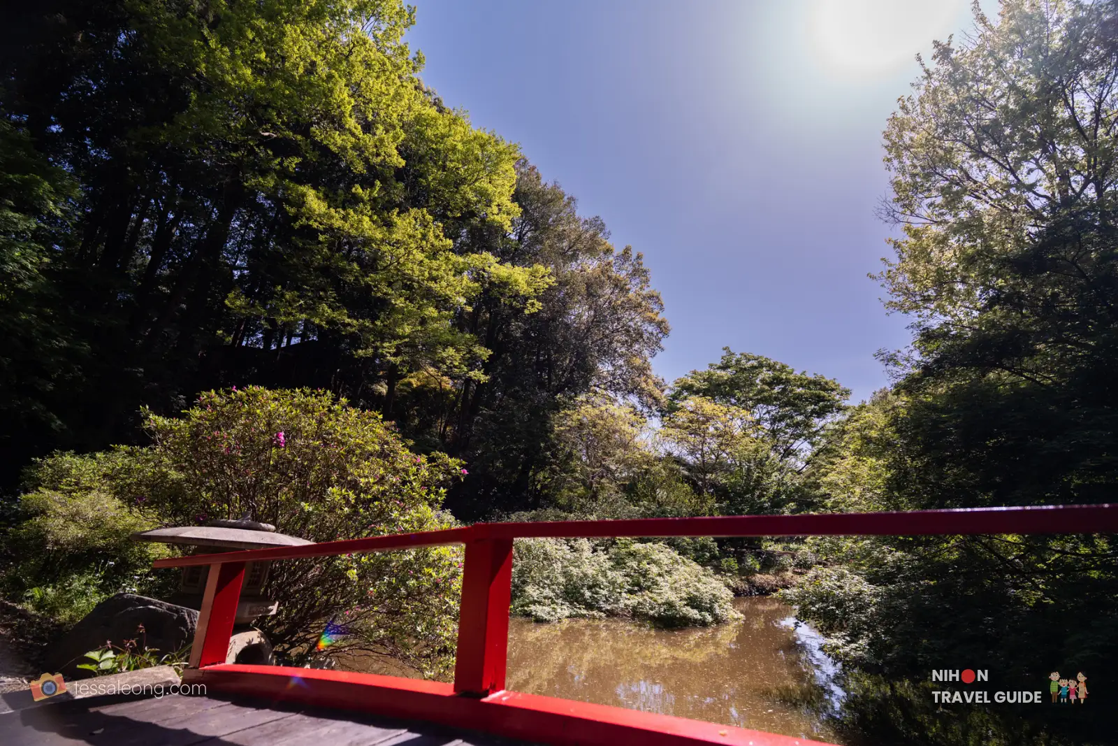 Looking up from the red bridge towards the tall green trees and bright blue sky at the peaceful pond area of Peony Garden Tokyo, with strong sunlight creating beautiful lens flare.