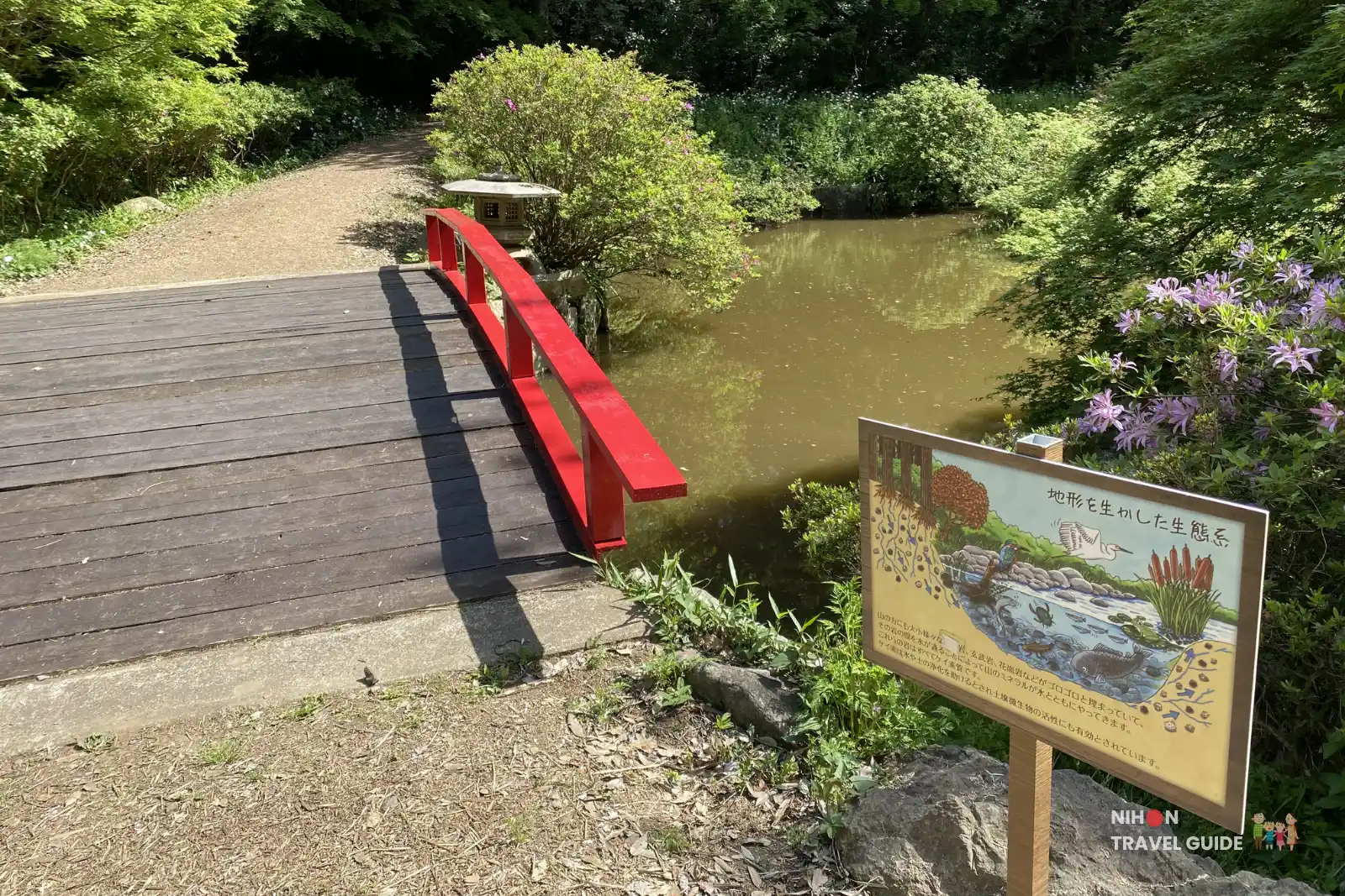Wide scenic view of the Waterside Area (Mizube Area) at Peony Garden Tokyo, showing the red bridge over the pond, lush green trees, and beautiful spring foliage under a bright sunny sky.