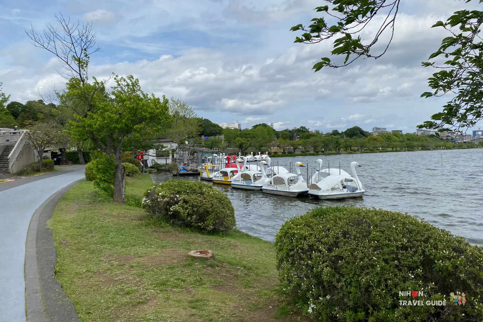 White swan pedal boats docked at Ishikawa Boat Rental Shop on Lake Senba, Mito, ready for visitors to rent and enjoy the scenic lake.