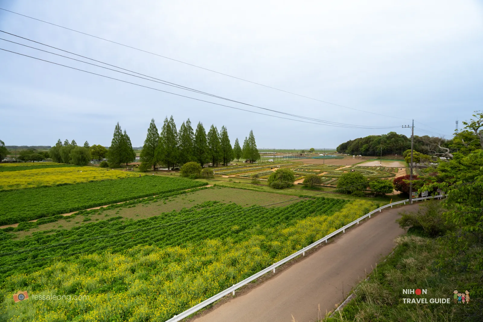 akebonoyama-agricultural-park-overview Panoramic overview of Akebonoyama Agricultural Park with vast flower fields and surrounding landscape in Chiba