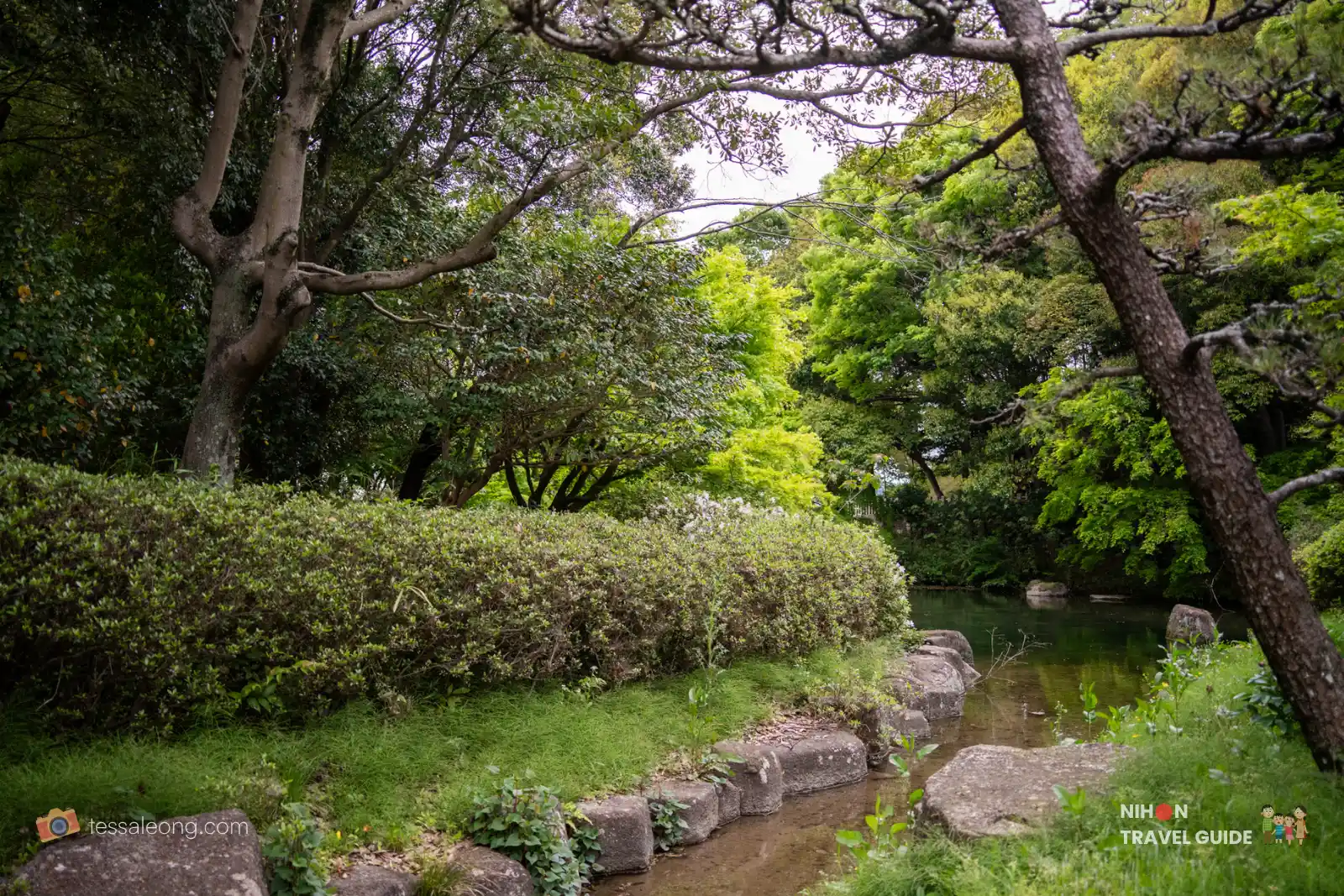 Serene stream and lush greenery in the Japanese Garden at Akebonoyama Agricultural Park