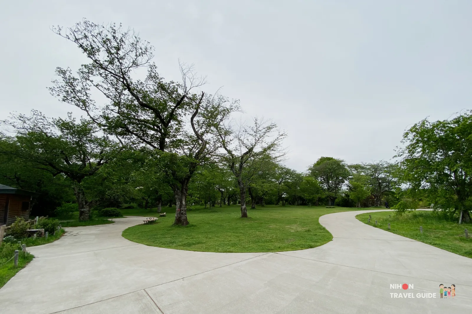 Winding concrete path lined with mature trees on Sakura Hill at Akebonoyama Park
