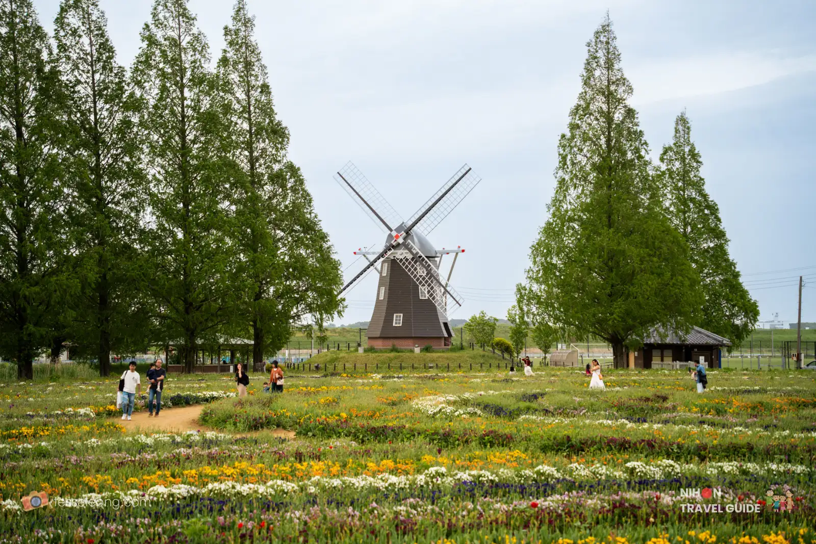 Windmill in a flower-filled field with visitors walking along a dirt path and tall trees nearby.