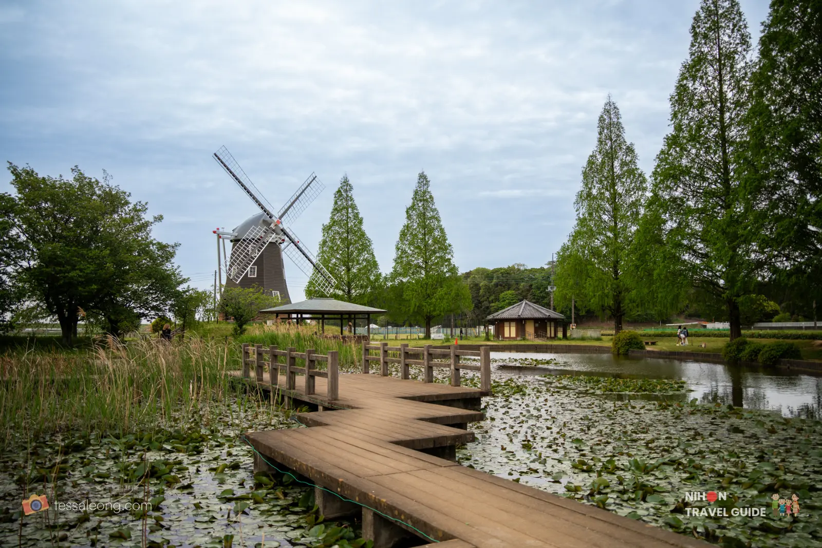 Wooden boardwalk over the lily pond with the Dutch windmill in the background at Akebonoyama Agricultural Park.