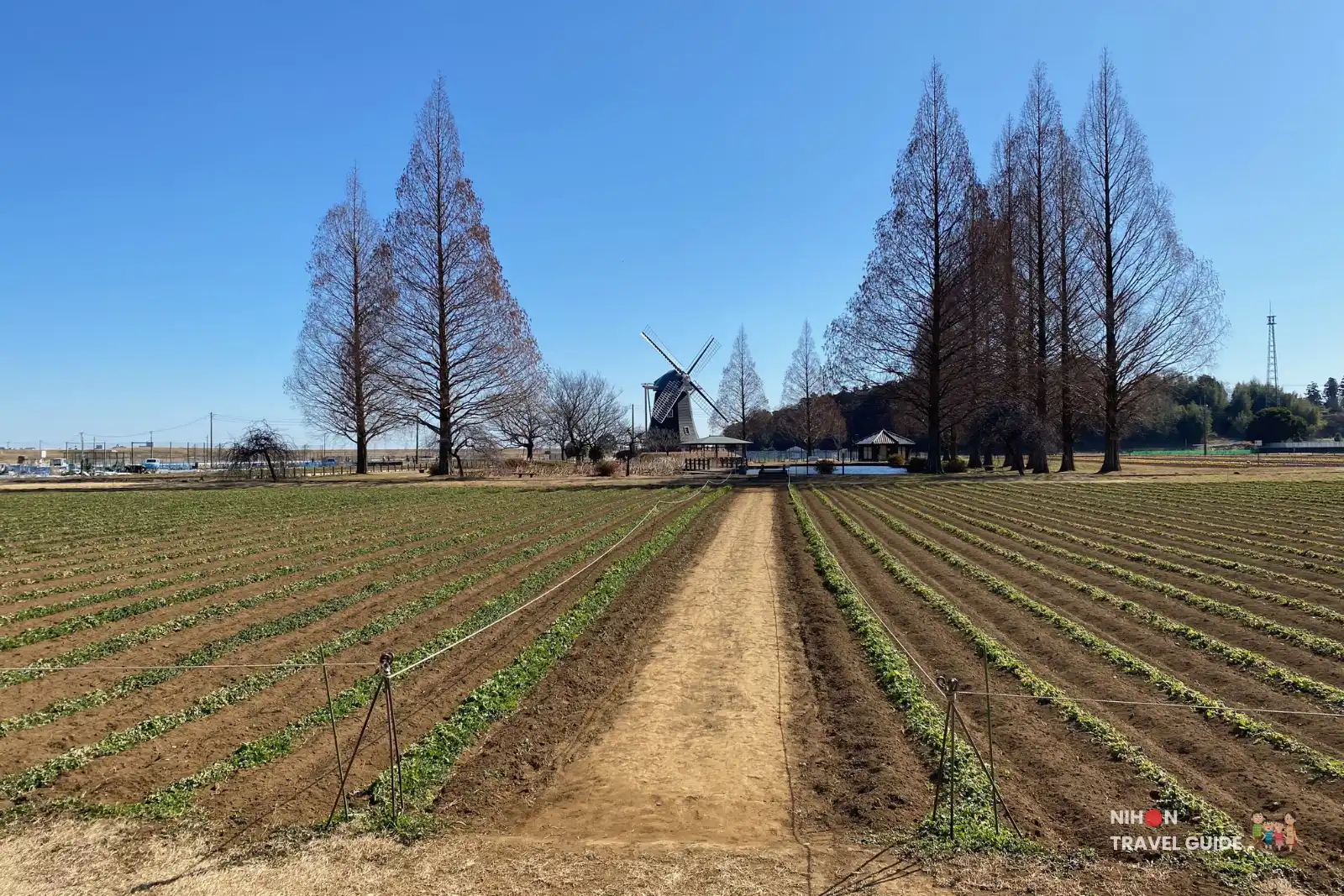 Dirt path through winter fields leading to the Dutch windmill at Akebonoyama Agricultural Park