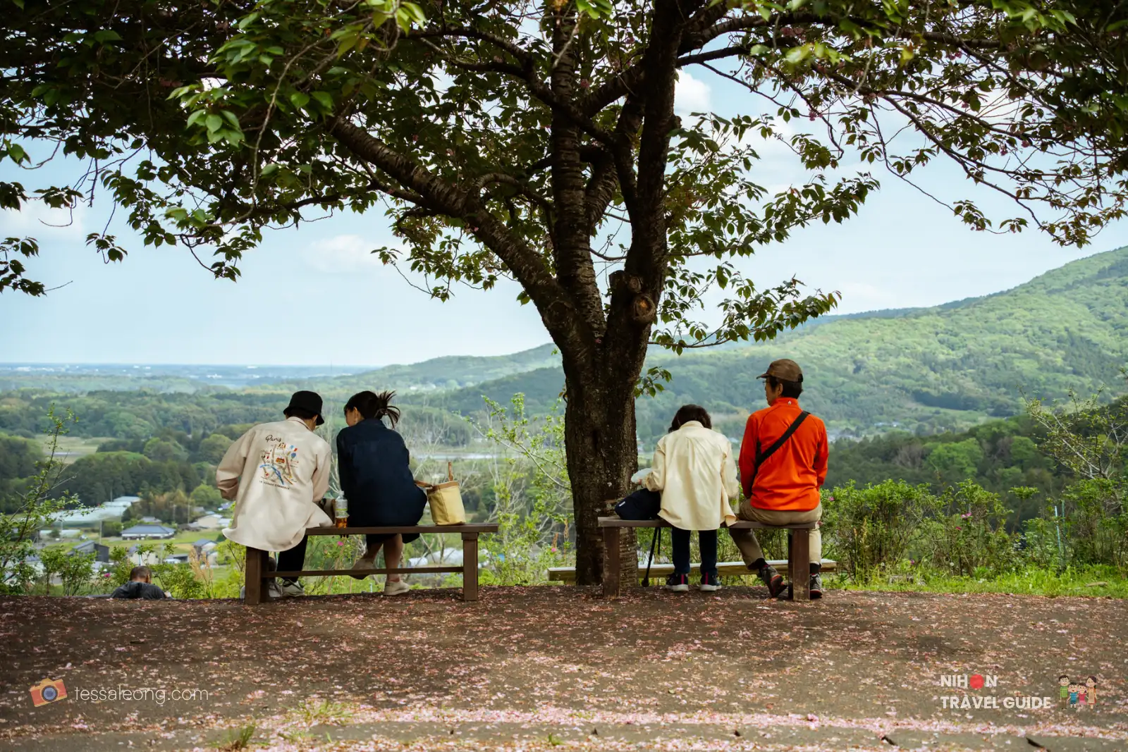 Visitors relaxing on benches under a tree at the top of Hanayasatoyama Hill, Ibaraki Flower Park.