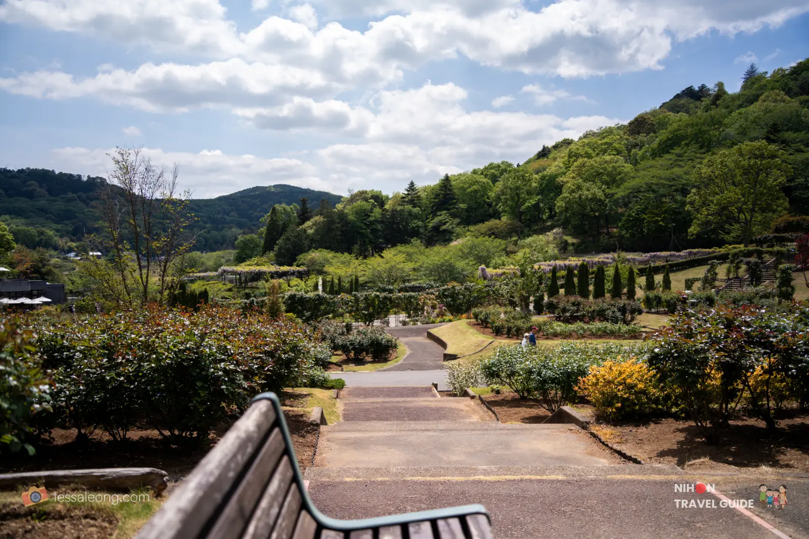 Scenic view of the rose gardens and satoyama landscape at Ibaraki Flower Park in Spring, with stairs and bench overlooking the hills