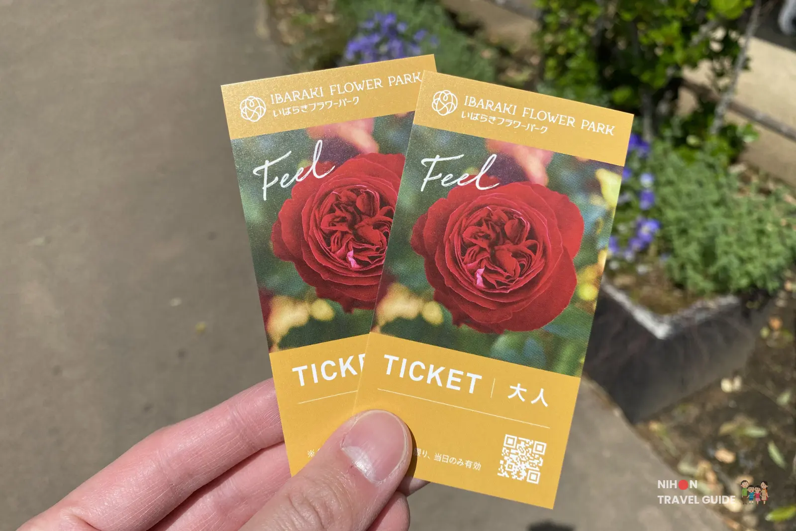 Adult admission tickets for Ibaraki Flower Park in Spring featuring beautiful red roses