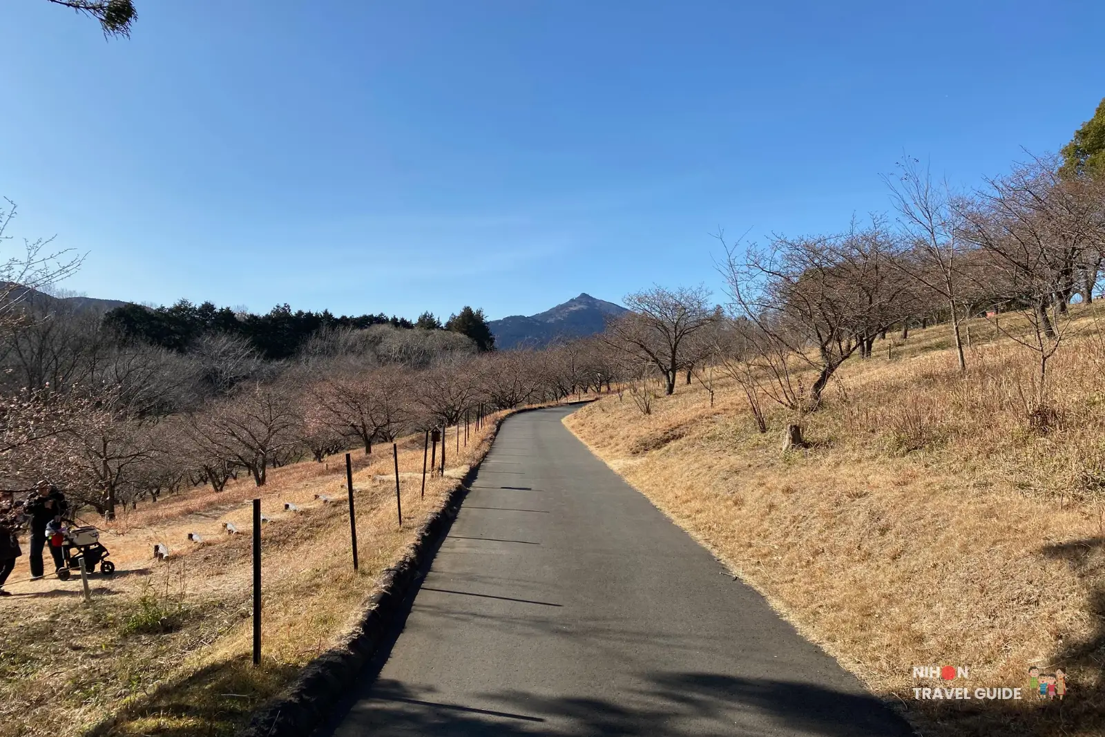 Paved walking path at Ibaraki Flower Park in winter with Mount Tsukuba visible in the distance.