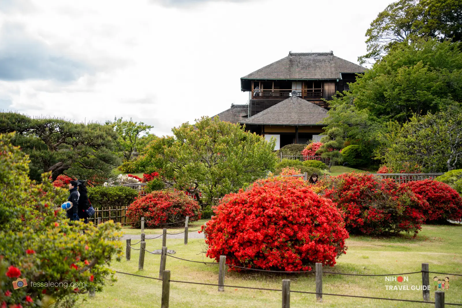 Scenic view of Kobuntei pavilion surrounded by vibrant red azaleas and lush greenery at Kairakuen Garden in Mito