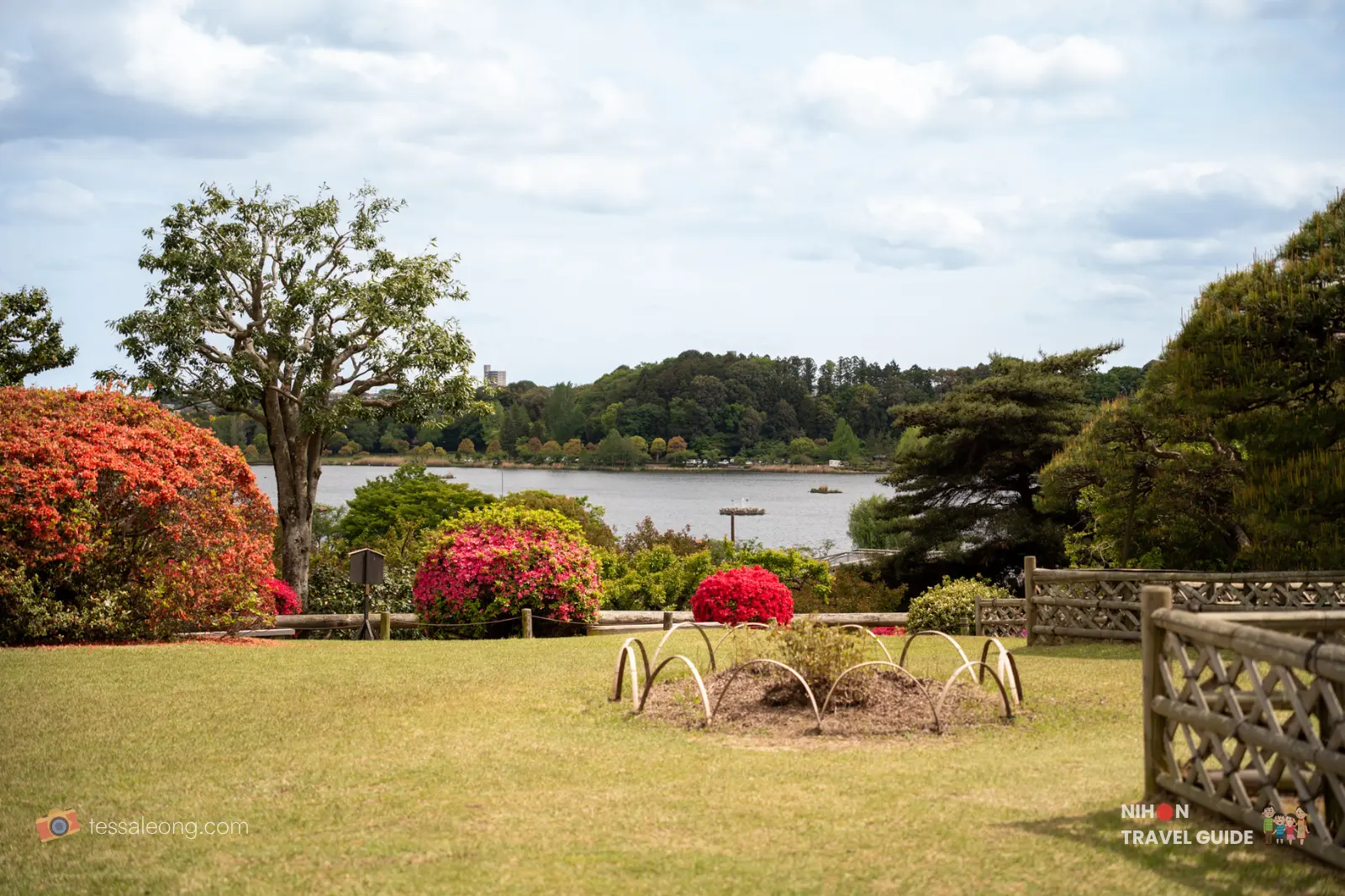 Beautiful lawn and garden area at Kairakuen with bright red azaleas, trees, and Lake Senba visible in the background