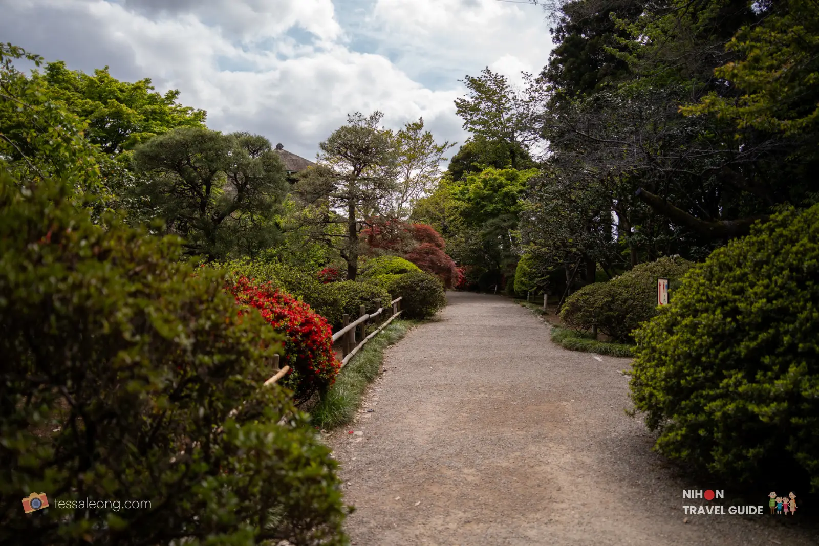 Shaded gravel walking path lined with red azaleas and greenery at Kairakuen Garden.