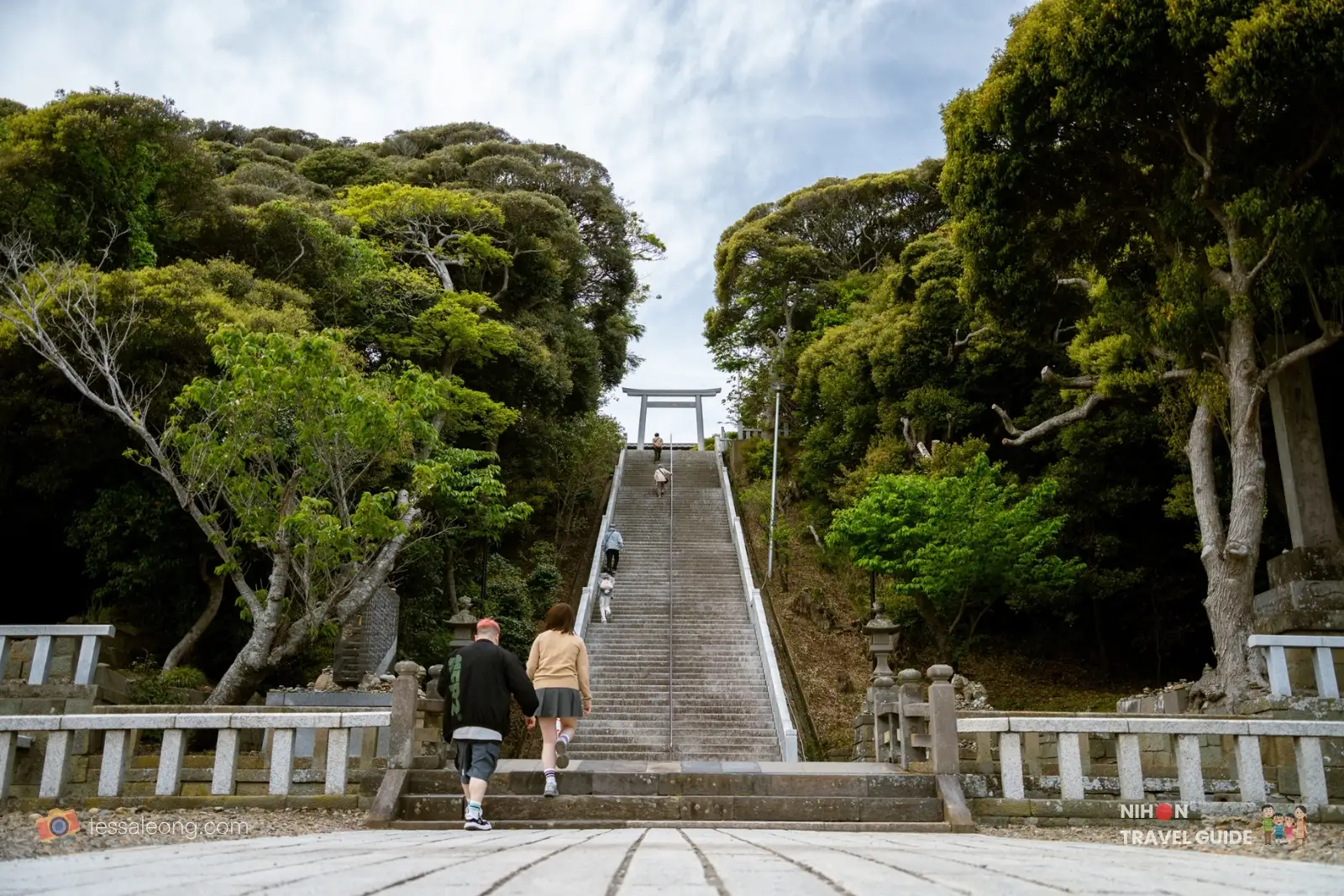 Oarai Isosaki Shrine: Kamiiso no Torii Visitor Guide (2026)