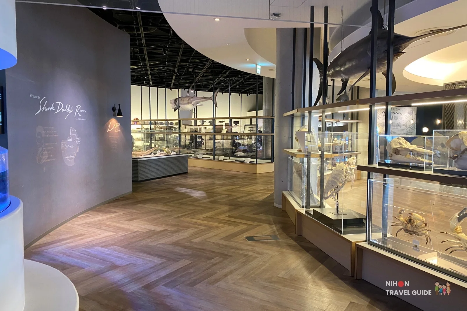 Shark Daddy’s Room at Aqua World Oarai Aquarium with welcome sign on the wall, hanging shark specimen, and glass display cases of shark skeletons and marine specimens.