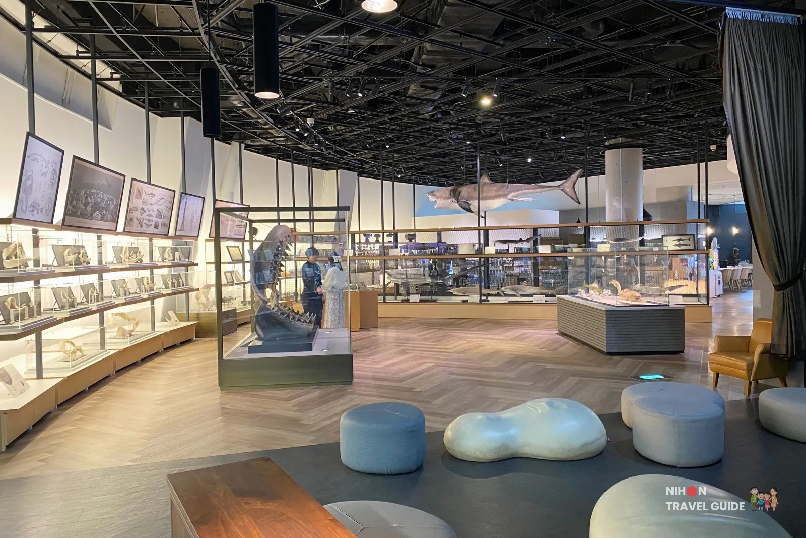 Interior of Shark Daddy’s Room at Aqua World Ibaraki Oarai Aquarium showing a large shark jaw display, hanging shark model, specimen cases, and modern seating area