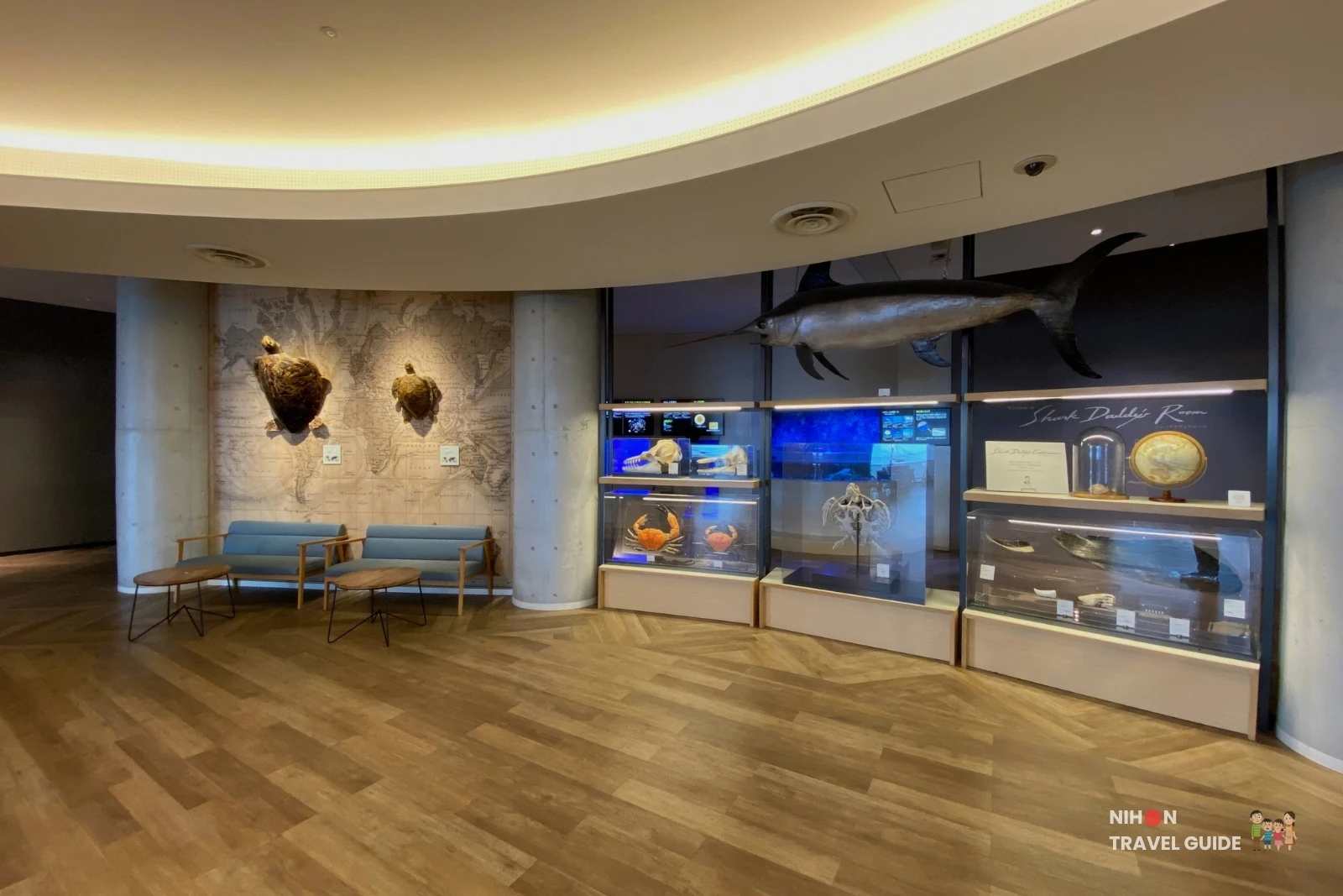 Lounge area near Shark Daddy’s Room at Aqua World Oarai featuring turtle mounts on a world map wall, blue sofas, specimen cases, and a hanging swordfish.