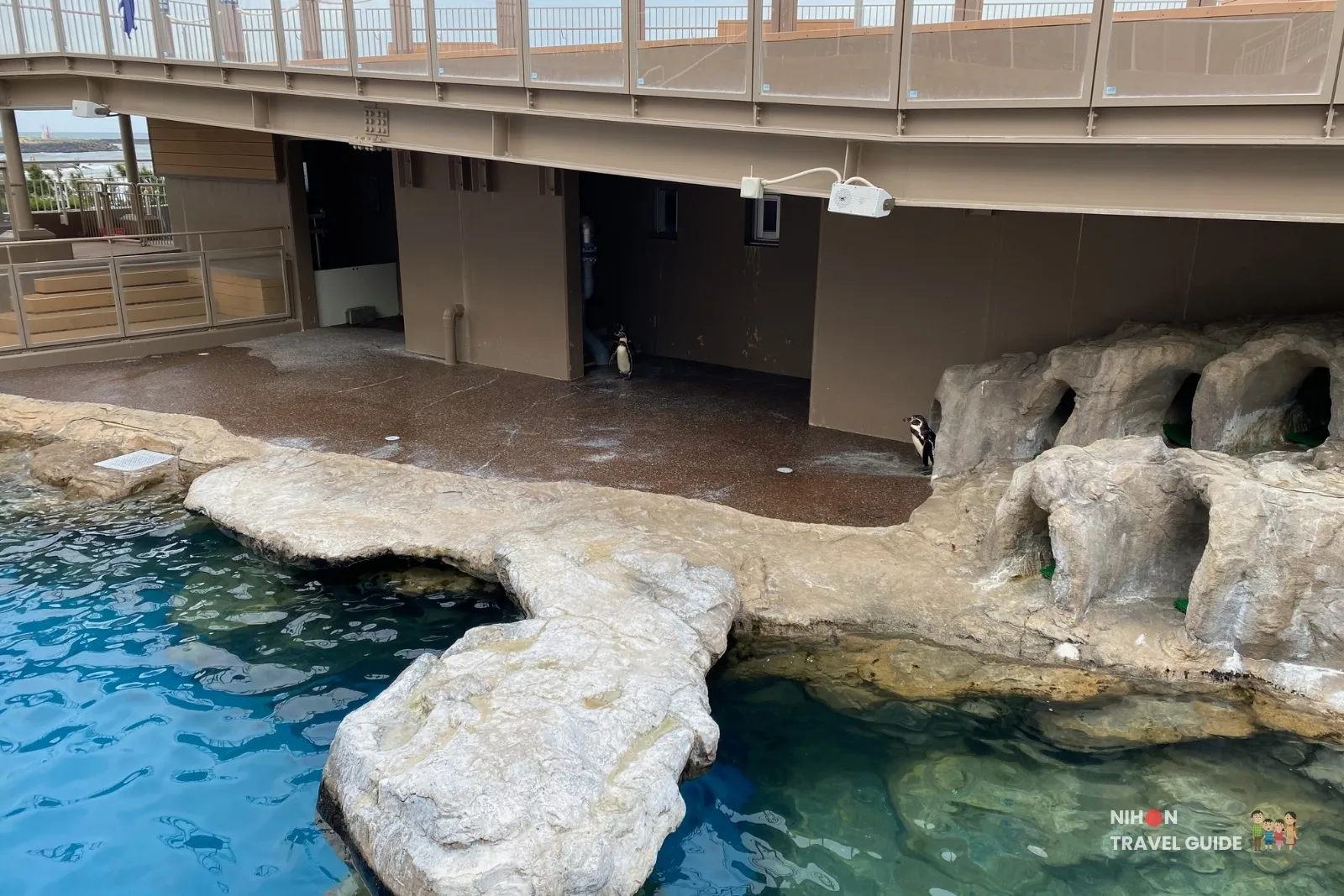 Penguin enclosure with rocky caves and pool in the Wonderful Sea zone at Aqua World Ibaraki Oarai Aquarium.