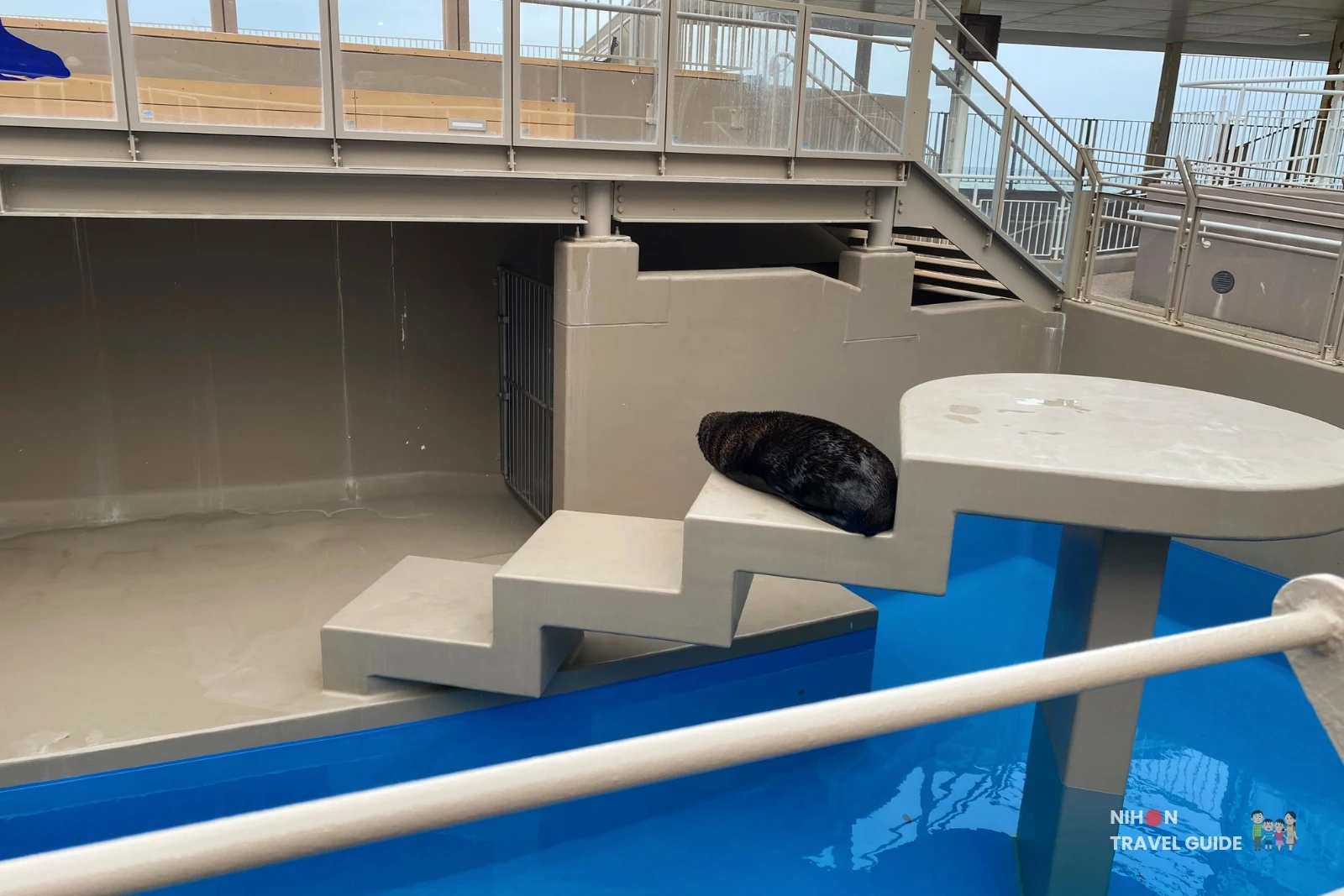 Sea lion resting on a concrete platform in the outdoor pool area of the Wonderful Sea zone at Aqua World Oarai Aquarium.