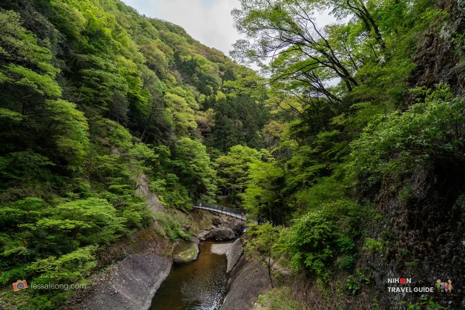 Fukuroda Falls — suspension bridge over gorge
