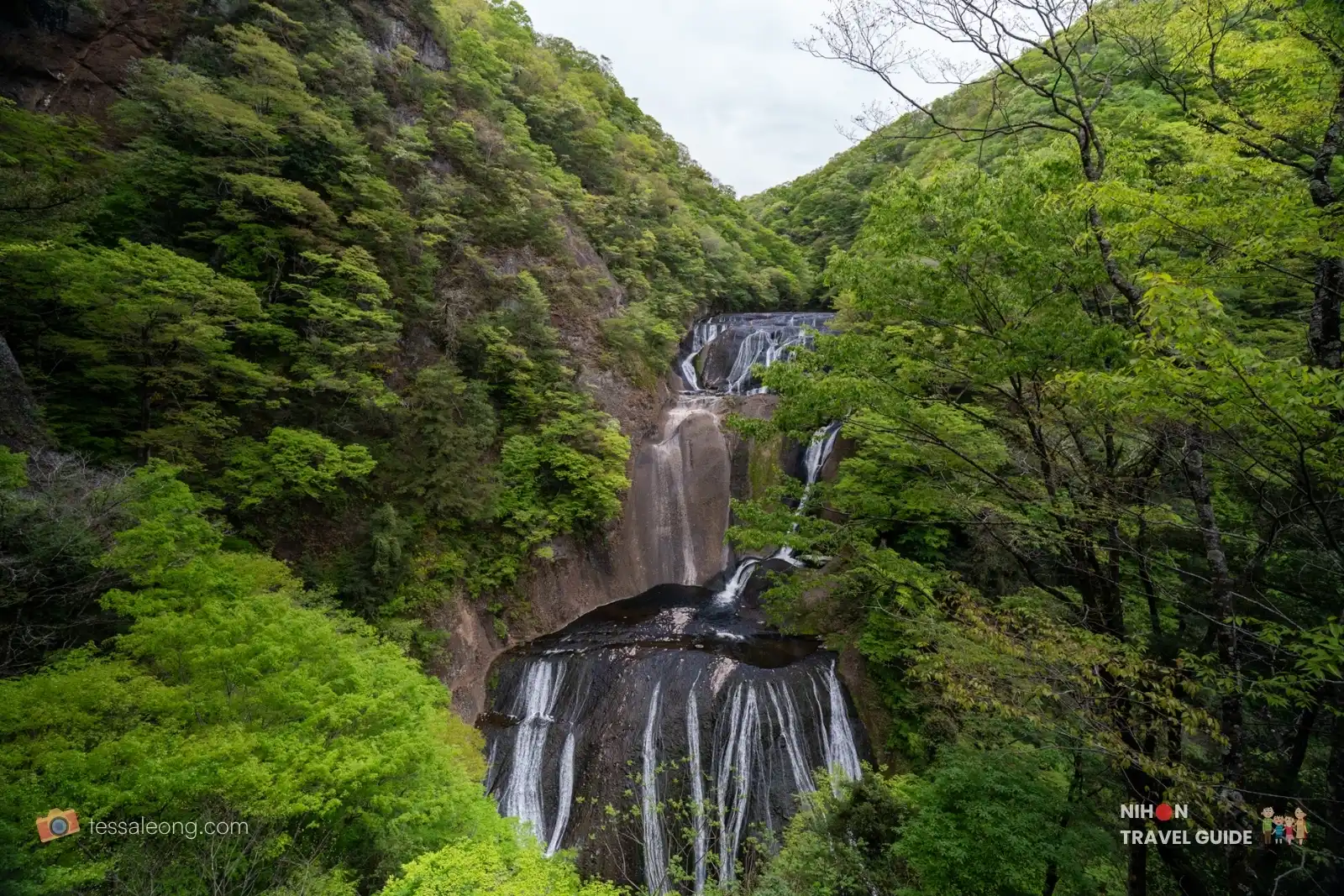 Fukuroda Falls — upper deck angled view