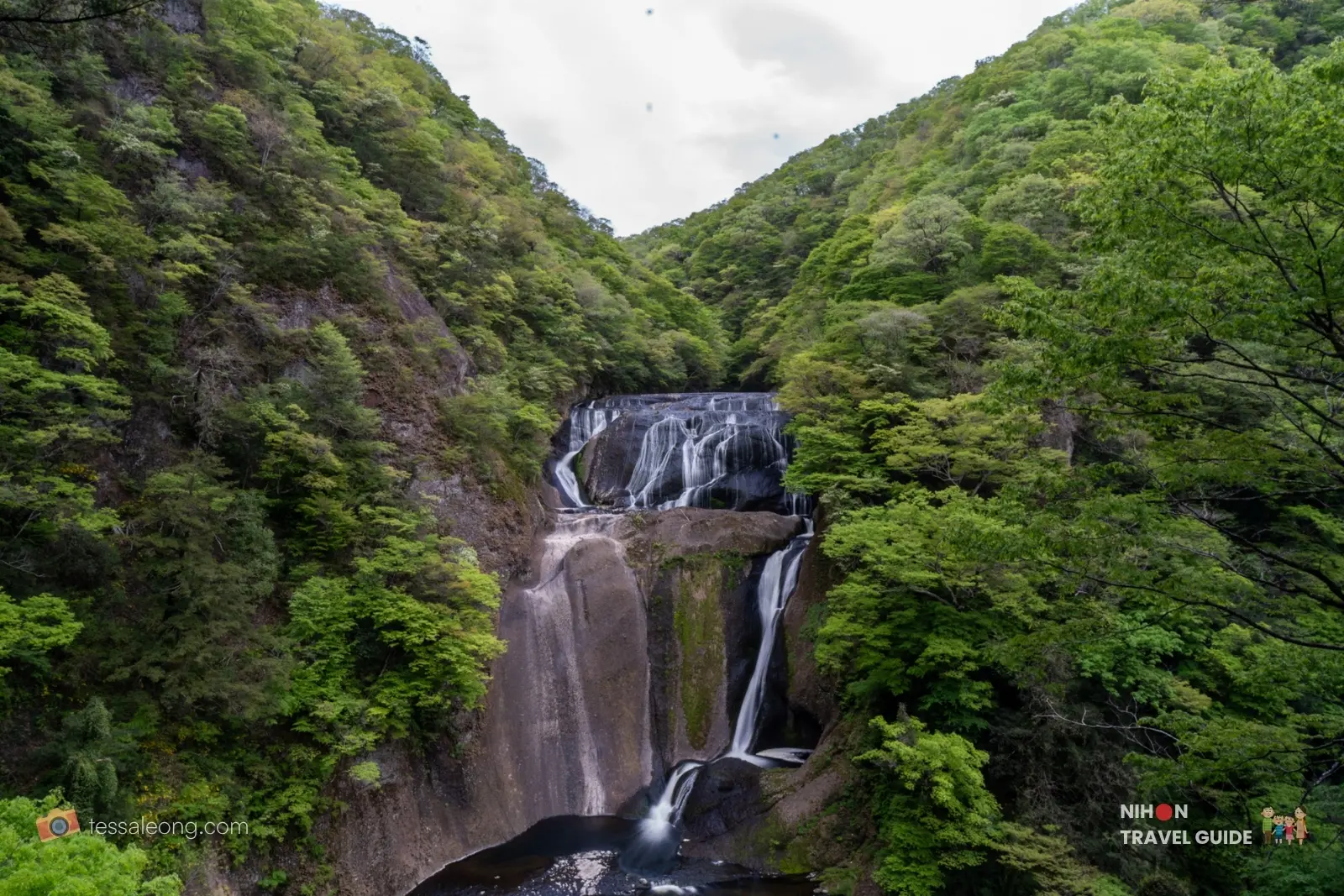 Full multi-tiered view of Fukuroda Falls from the upper observation deck, surrounded by dense green forest