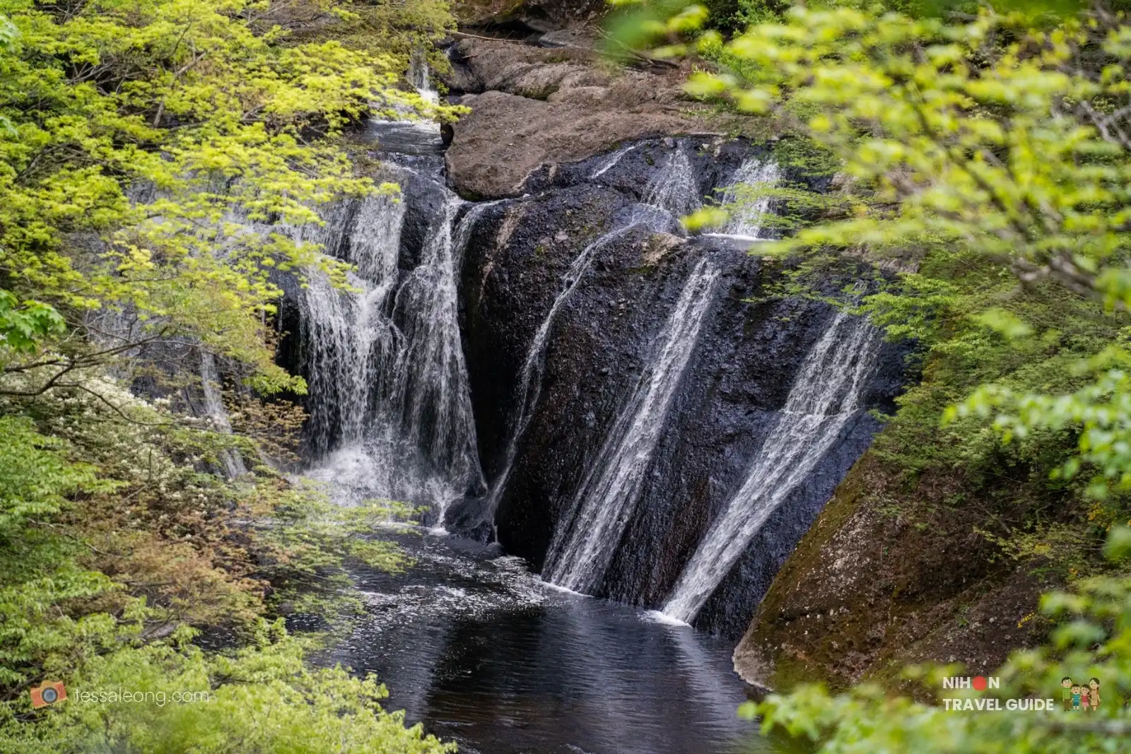 Close-up view of Namase Falls cascading over dark rocks into a clear pool, surrounded by fresh green foliage