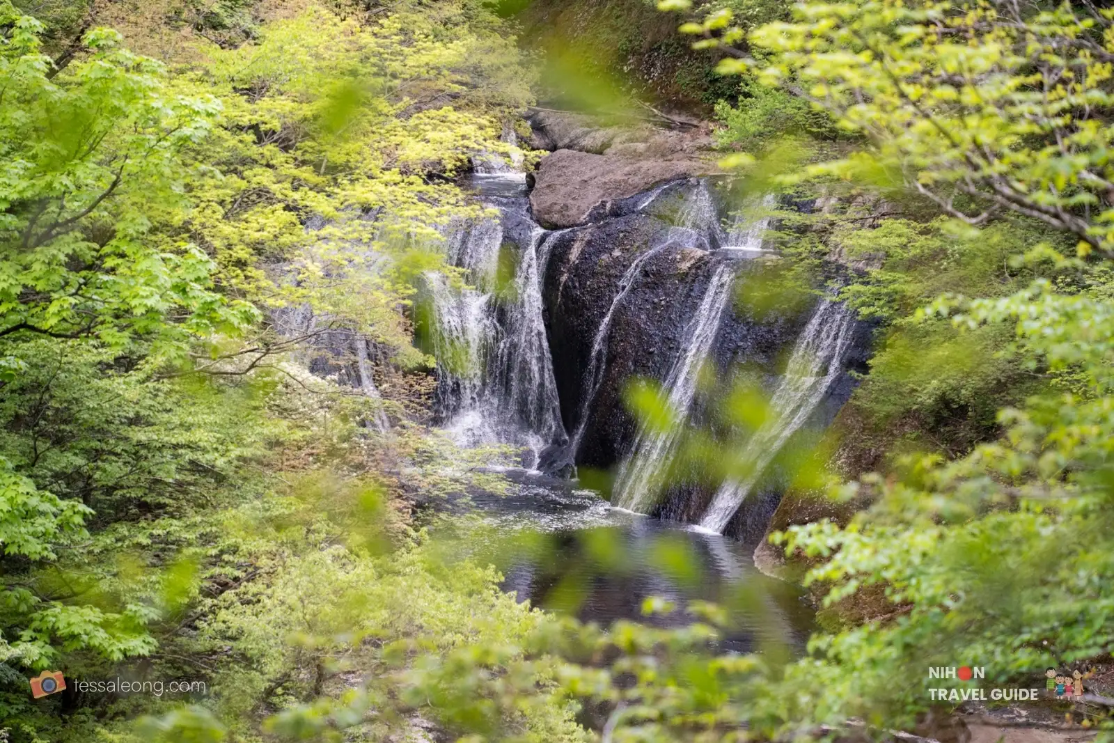 Side view of Namase Falls with multiple streams flowing into a dark pool, framed by bright green spring leaves
