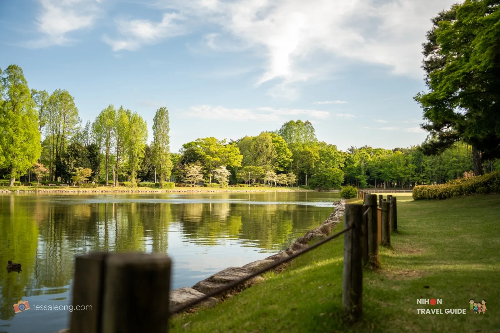 Doho Park Tsukuba — pond view in spring