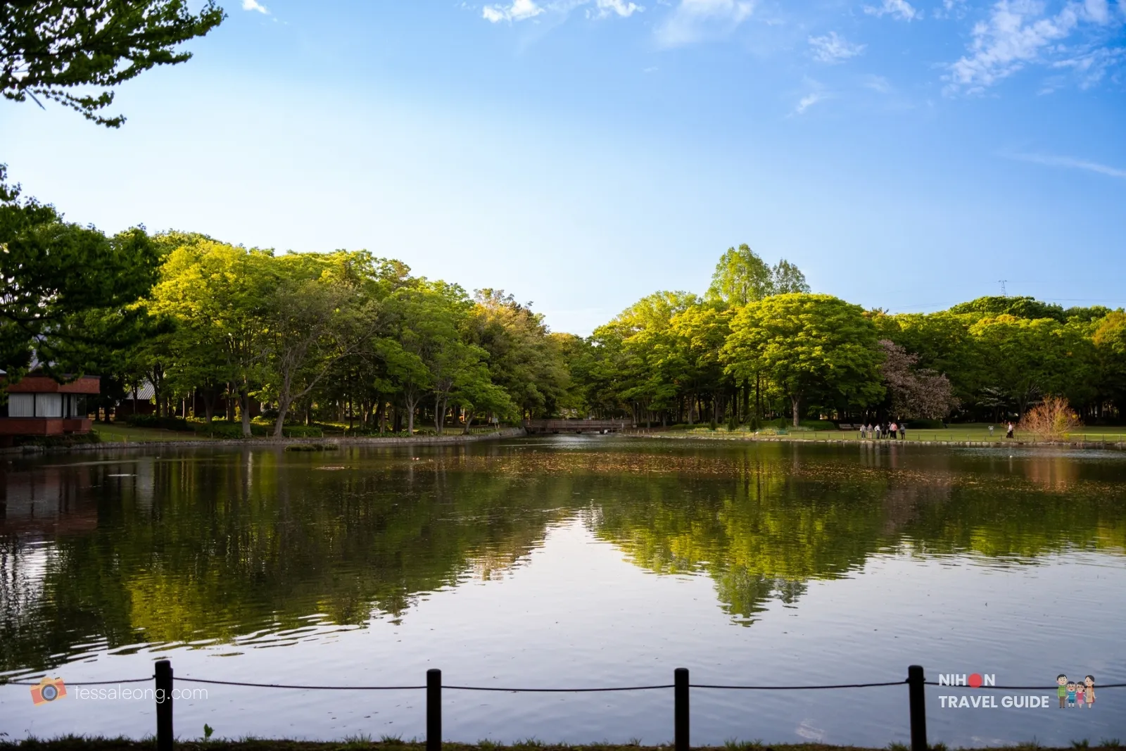 Wide view of Doho Pond surrounded by green trees under a blue sky at Doho Park Tsukuba in spring