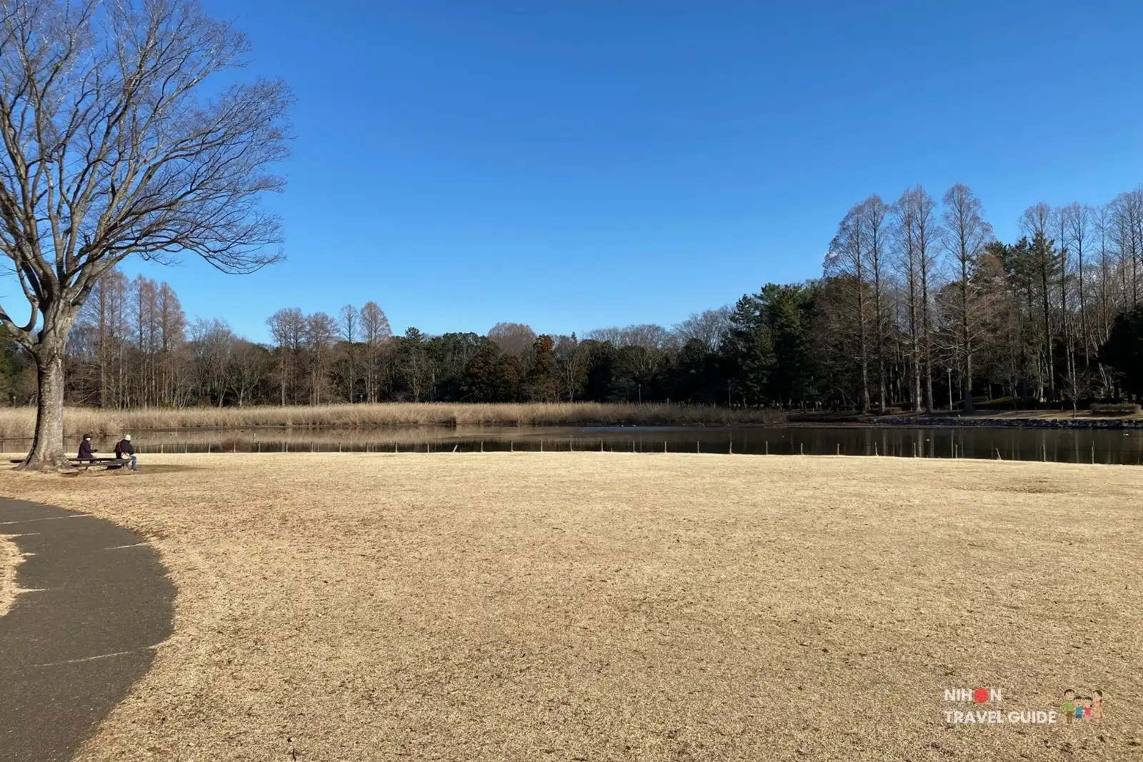 Wide view of Doho Pond and dry winter lawn at Doho Park Tsukuba with people sitting on a bench