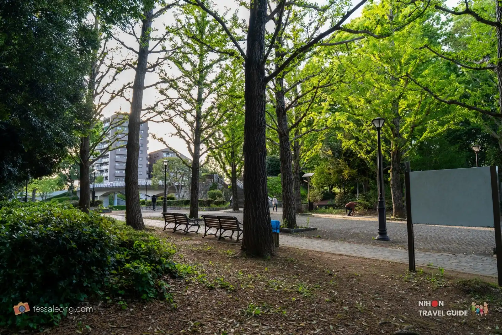 Shaded seating area under trees near a bridge at Doho Park Tsukuba in spring